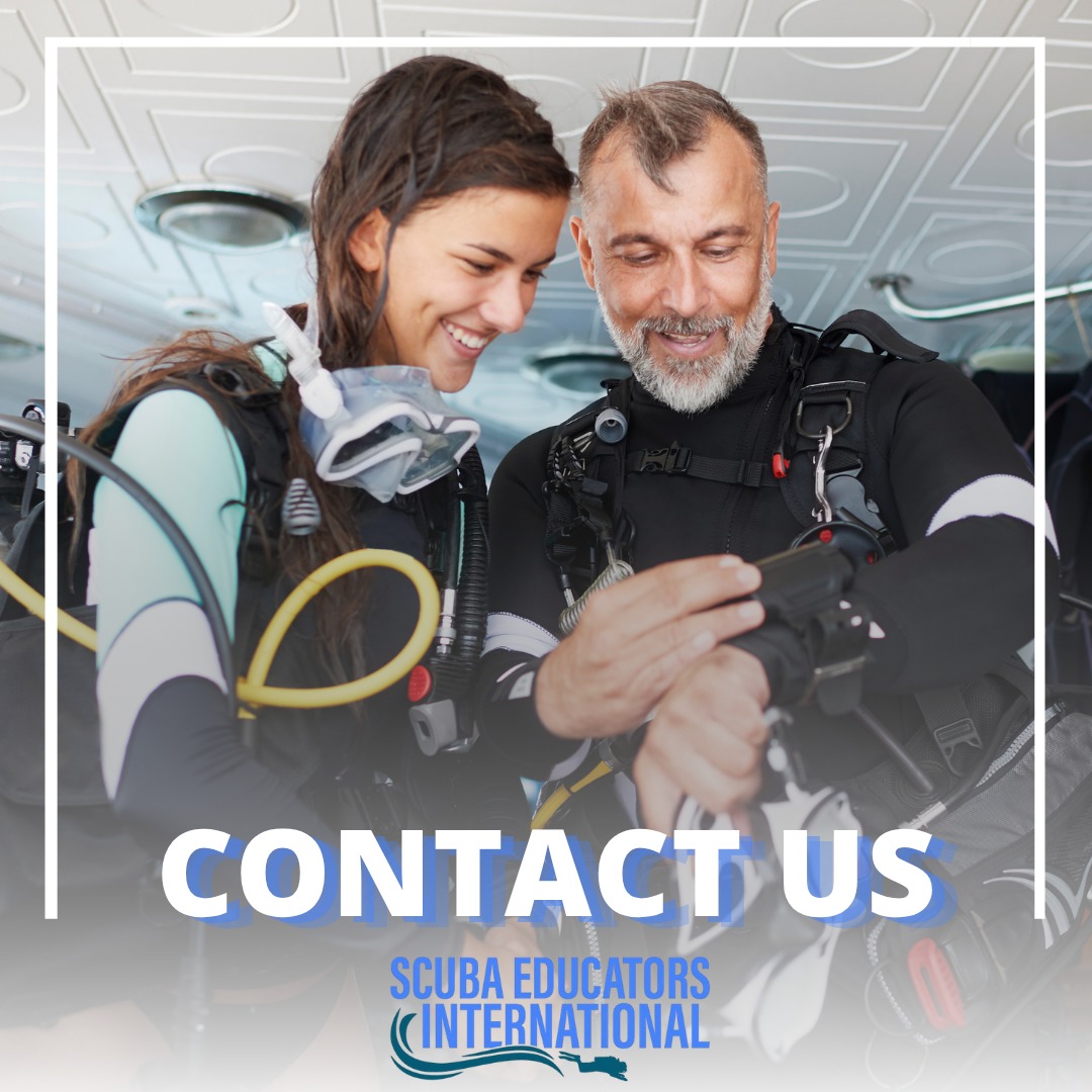 Contact us